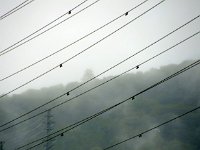牛臥山のお城は霞の彼方。