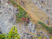 IMG 7161