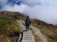 IMG 7180