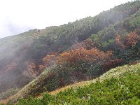 IMG 7307