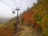 上は紅葉真っ最中