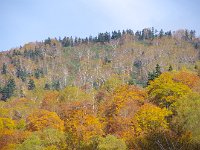岳樺がキレイ！