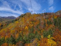 IMG 7485