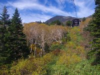 IMG 7497