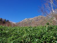 IMG 7532
