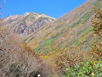 IMG 7539