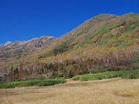 IMG 7544