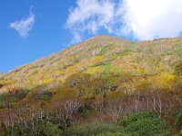 こんな所に沢が・・・