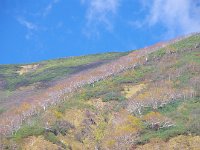 IMG 7583