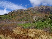 IMG 7586