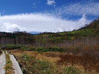 IMG 7587