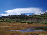 雲が面白い