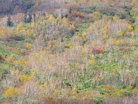 IMG 7602