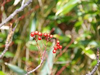 IMG 7607