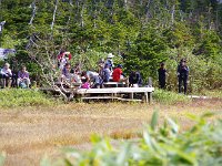 IMG 7620