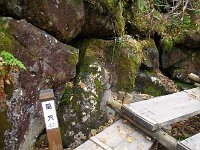 IMG 7632