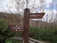 IMG 7637