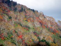 IMG 7659