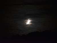 朧月夜でした