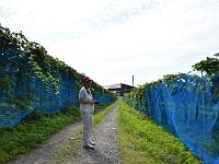感激している人