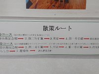 DSC 0249