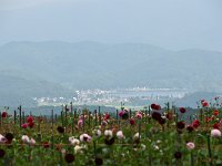 300mmで野尻湖を