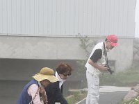 高山植物を愛でて