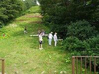 野草でも