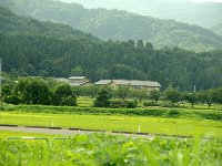 宿です