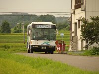 スクールバスですね