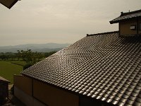 IMG 5895