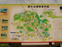 IMG 5909