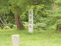 IMG 5955