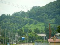 葡萄畑が・・・