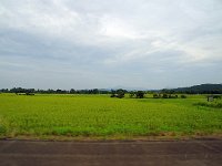 この米どころで、どうしてワインを作ろうと発想したのか？