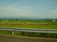 棚田が増えてきました