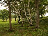 迫力・・・自然の力