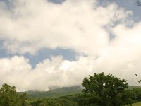 雄大です