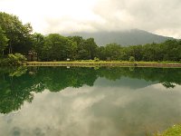 水面がキレイ！