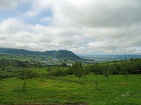 リンゴ畑です