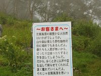 IMG 6469