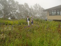 IMG 6475
