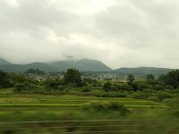 IMG 6659