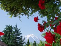 良いアングル？