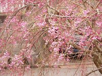 > 4/10　見る角度で違いますね