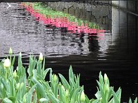 いいアングルですね