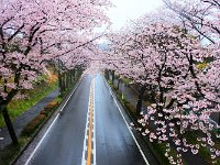 良か、撮影ポイント！