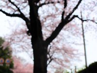 ここから、正マリアンヌ病院前