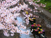 コラボがイイね！