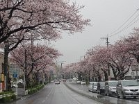 霧が丘を目指して